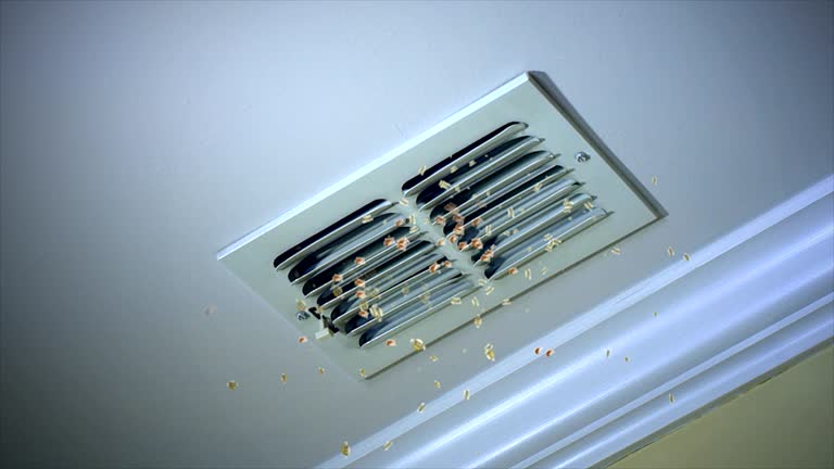 Best Affordable Air Duct Cleaning  in Milan, IN