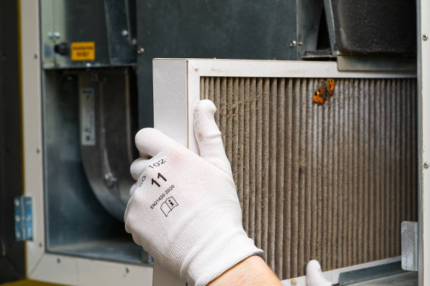 Best Affordable Duct Cleaning Services  in Milan, IN