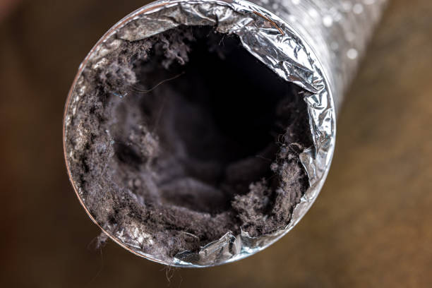 Best Local Air Duct Cleaning Services  in Milan, IN